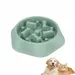 Zoomtopia Gamelle à alimentation lente pour chien 19×20.5CM