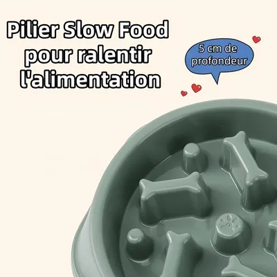 Zoomtopia Gamelle à alimentation lente pour chien 19×20.5CM