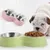 Zoomtopia Gamelle double pour chat et chien rose