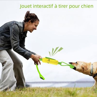 Zoomtopia Jouet interactif pour chien de taille moyenne