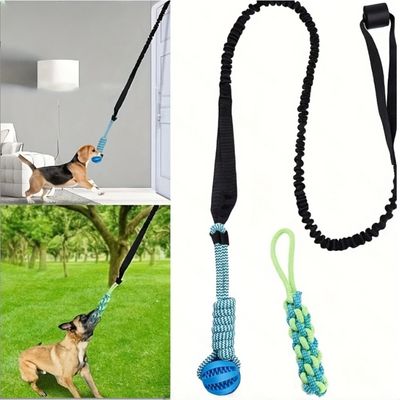 Zoomtopia Kit de jouets pour chien