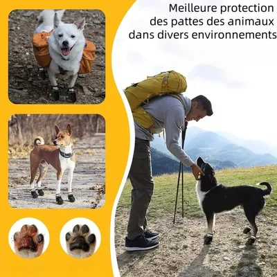 Zoomtopia Schutzstiefel für Hunde Zoomtopia Schutzstiefel für Hunde