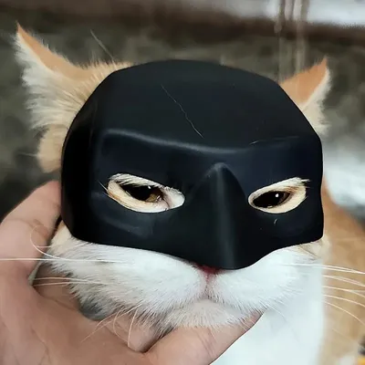 Zoomtopia Masque Batman pour chat Zoomtopia Masque Batman pour chat