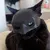 Zoomtopia  Masque Batman pour chat