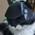 Zoomtopia Masque Batman pour chat Zoomtopia Masque Batman pour chat