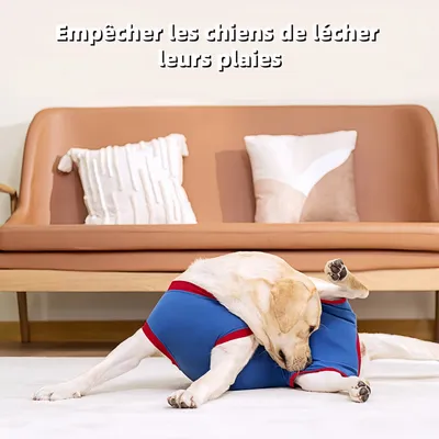Zoomtopia Combinaison de convalescence pour chien