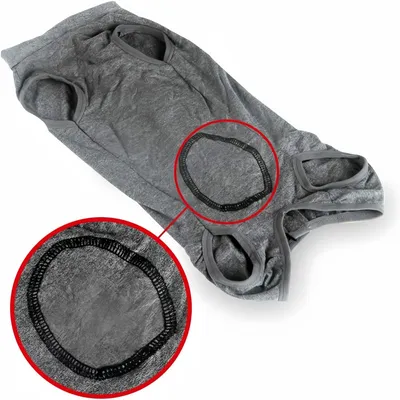 Zoomtopia Vêtements de rééducation pour chiens