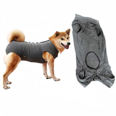 Zoomtopia Vêtements de rééducation pour chiens