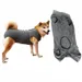 Zoomtopia Vêtements de rééducation pour chiens
