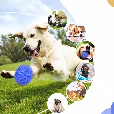 Zoomtopia Balle pour chien en nid d'abeille 8CM