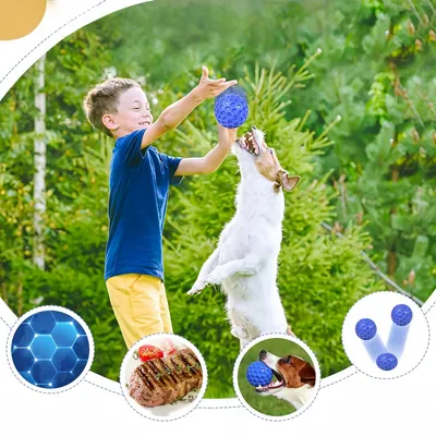 Zoomtopia Balle pour chien en nid d'abeille 8CM