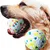 Zoomtopia 2 PCS Balle Interactive Haute Élasticité pour Chien et Chat