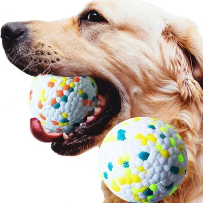 Zoomtopia 2 PCS Balle Interactive Haute Élasticité pour Chien et Chat