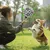 Zoomtopia Jouet de football interactif pour chien