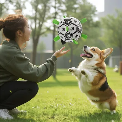 Zoomtopia Jouet de football interactif pour chien