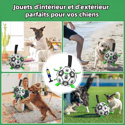 Zoomtopia Jouet de football interactif pour chien