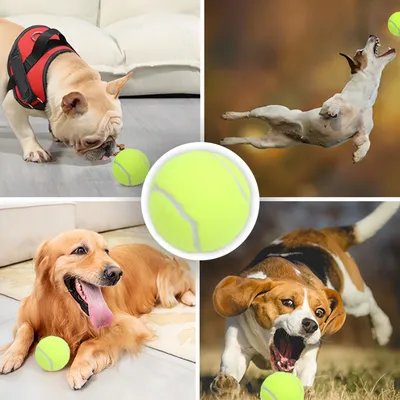 Zoomtopia Balles de tennis pour chien et chat 3 pièces