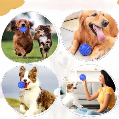 Zoomtopia Balle pour chien en nid d'abeille 8CM