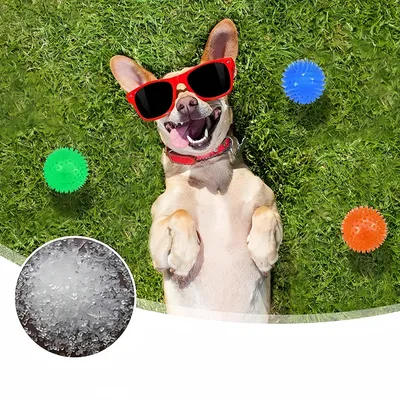 Zoomtopia Jouet interactif en ballon pour chien 6 pièces