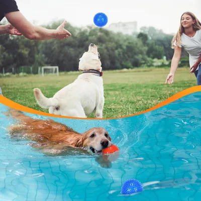 Zoomtopia Jouet interactif en ballon pour chien 6 pièces