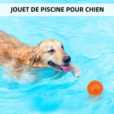 Zoomtopia Jouet interactif en ballon pour chien 6 pièces