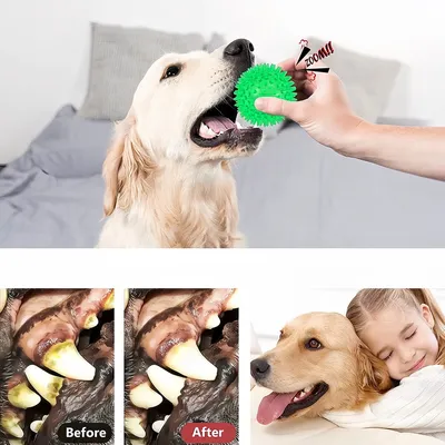 Zoomtopia Jouet interactif en ballon pour chien 6 pièces