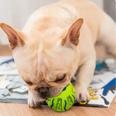 Zoomtopia Balle à mâcher interactive pour chien