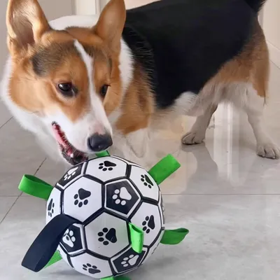 Zoomtopia Ballon de football pour chien