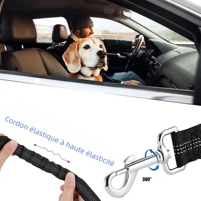 Zoomtopia Ceinture de sécurité réglable pour chien