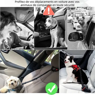 Zoomtopia Ceinture de sécurité réglable pour chien