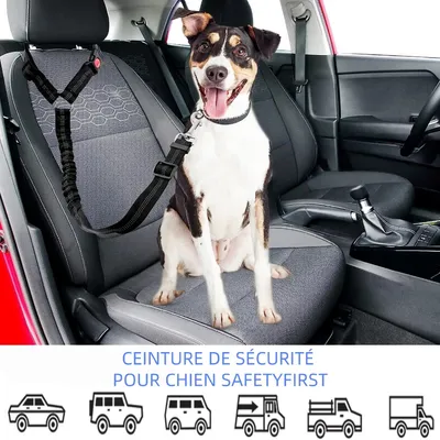 Zoomtopia Ceinture de sécurité réglable pour chien
