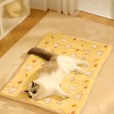 Zoomtopia Couverture chaude pour animaux de compagnie