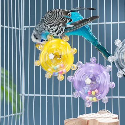 Zoomtopia Jouet à mâcher pour oiseaux en roue rotative