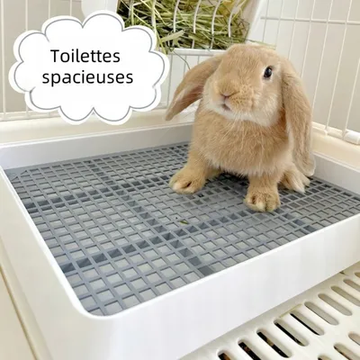 Zoomtopia Toilette pour petits animaux