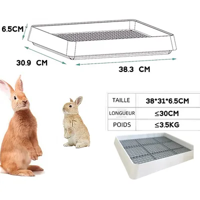 Zoomtopia Toilette pour petits animaux