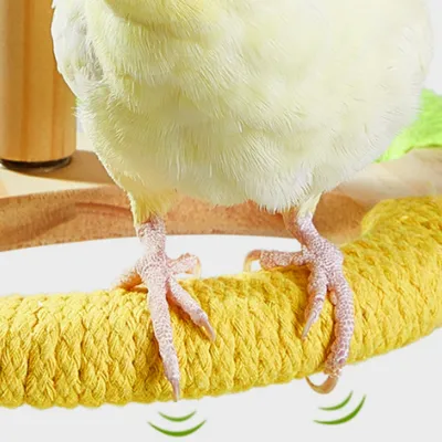 Zoomtopia Jouet pour oiseaux à plateforme rotative