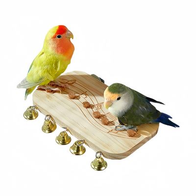 Zoomtopia Perchoir en bois pour perroquet avec jouet à mâcher et clochette