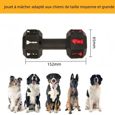 Zoomtopia  Jouet à mâcher en forme d'haltère pour chien