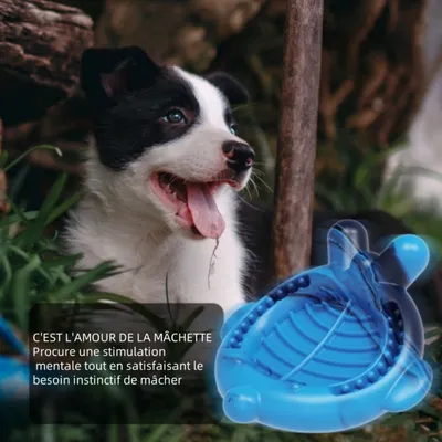 Zoomtopia Jouet en nylon en forme d'arête de poisson pour chien