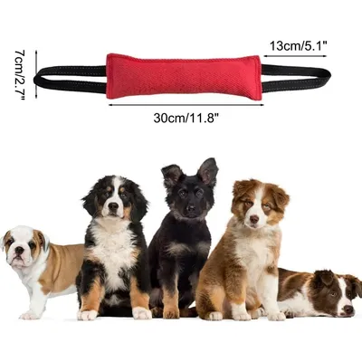 Zoomtopia Bâton à mâcher interactif pour chien