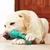 Zoomtopia Jouets de Nettoyage des Dents pour Chien