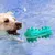 Zoomtopia Jouets de Nettoyage des Dents pour Chien