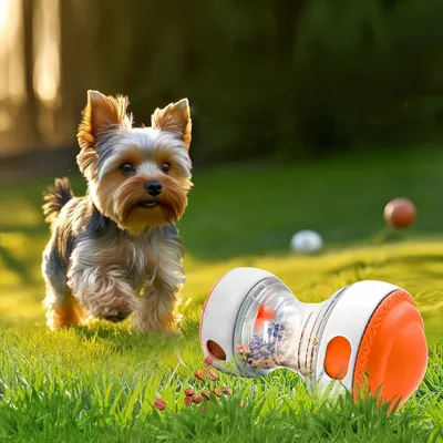 Zoomtopia Jouet distributeur de nourriture interactif pour chien et chat