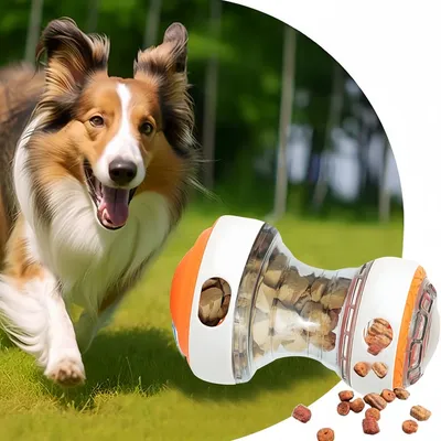 Zoomtopia Jouet distributeur de nourriture interactif pour chien et chat