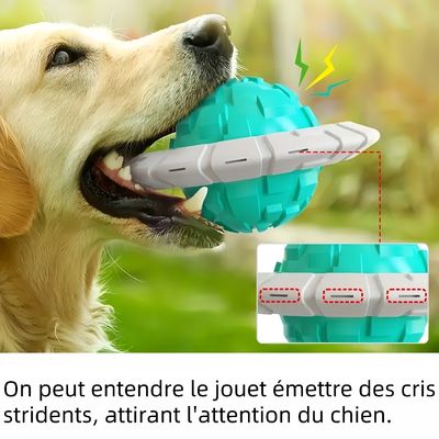 Zoomtopia Jouets couineurs pour chiens