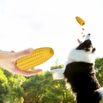 Zoomtopia Jouet en caoutchouc biosourcé pour chien