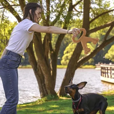 Zoomtopia Jouet de nettoyage des dents pour chien