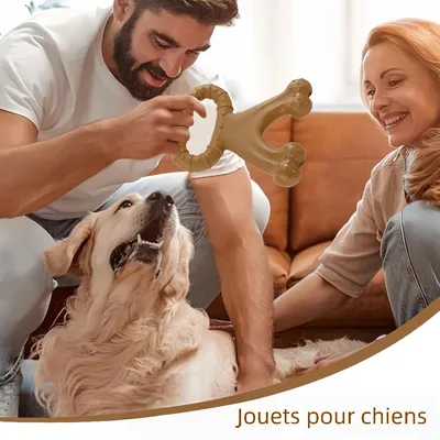 Zoomtopia Jouet de nettoyage des dents pour chien