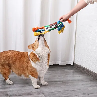 Zoomtopia Jouet de corde à mâcher pour chien