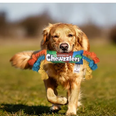 Zoomtopia Jouet de corde à mâcher pour chien